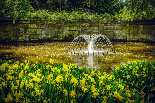Квітучий сад Європейського & парк елементи Закри, Нідерланди. — стокове фото