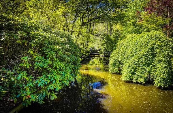 Blooming European Garden & Park elements close-up, Paesi Bassi . — Foto Stock