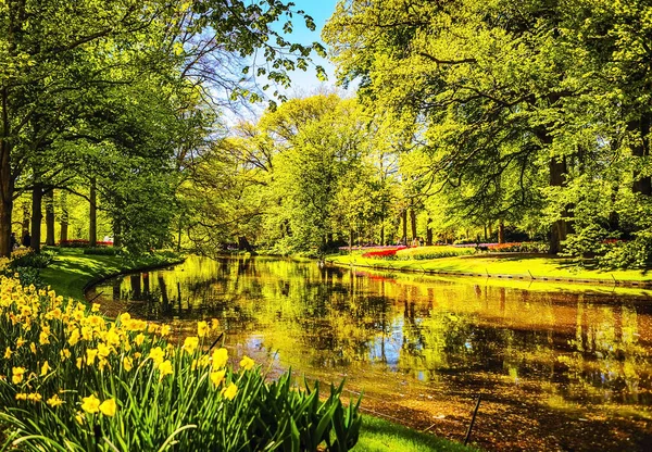 Jardim florescente da Europa, parque Keukenhof. Países Baixos . — Fotografia de Stock