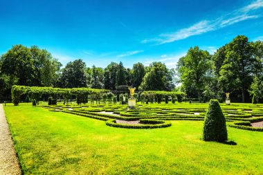 Çiçek açan Avrupa Bahçe ve Park öğeleri yakın çekim, Hollanda.
