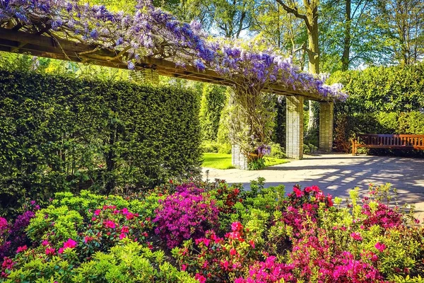 Blommande trädgård i Europa, Keukenhof parken. Nederländerna. — Stockfoto