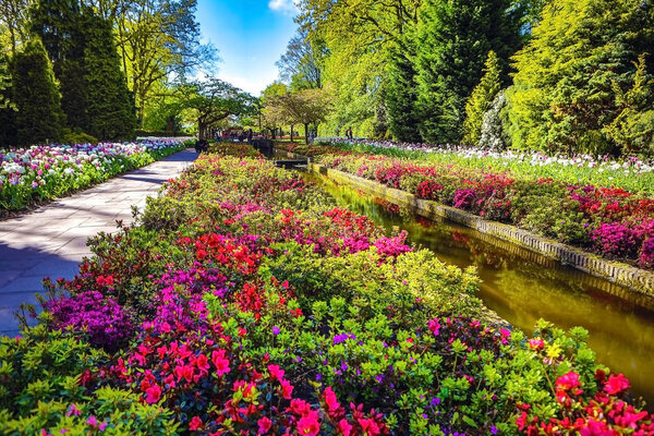 Blooming Garden of Europe, Keukenhof park. Netherlands.