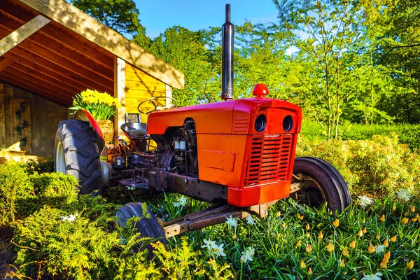 Roter holländischer Traktor auf einer sonnigen Blumenwiese. — Stockfoto