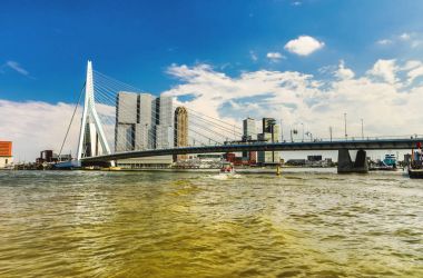 Rotterdam şehir manzarası ve Erasmus Köprüsü şehrin en ünlü simgelerinden birini genel görünümü.