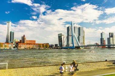 Rotterdam şehir manzarası ve Erasmus Köprüsü şehrin en ünlü simgelerinden birini genel görünümü.