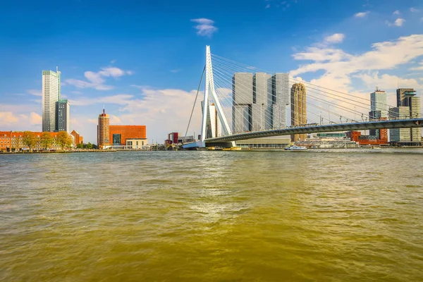 Widok ogólny krajobraz miasta Rotterdam i Most Erazma, jeden z najbardziej znanych symboli miasta. — Zdjęcie stockowe