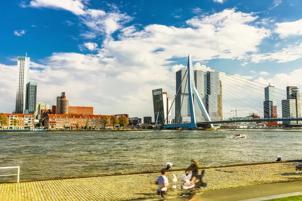 Celkový pohled na krajinu města Rotterdam a most Erasmus, jeden z nejznámějších symbolů města. — Stock fotografie