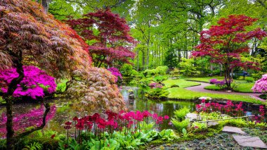 Traditional Japanese Garden in The Hague. clipart