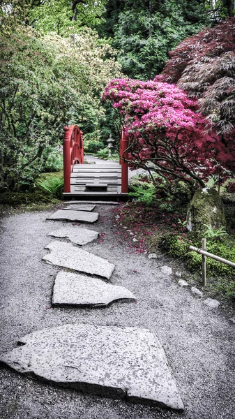 Jardin japonais traditionnel à La Haye . — Photo