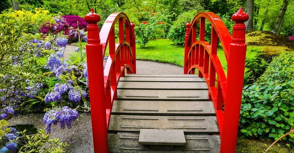 Traditional Japanese Garden in The Hague. — Stock Photo, Image