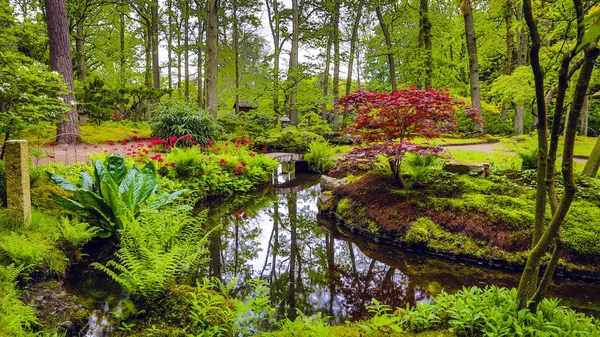 Tradiční japonská zahrada v Haagu. — Stock fotografie