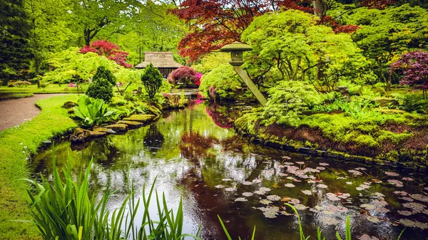 Jardín tradicional japonés en La Haya . — Foto de Stock