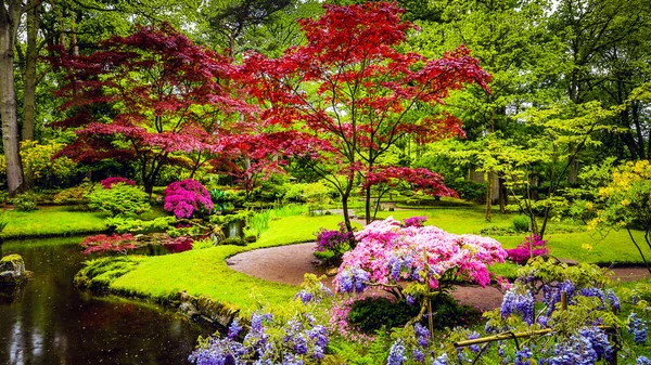 Traditioneller japanischer Garten in Den Haag. — Stockfoto