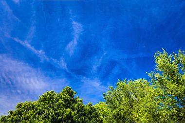 Parlak mavi yaz göğün altında şehir.