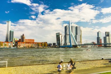 Rotterdam şehir manzarası ve Erasmus Köprüsü şehrin en ünlü simgelerinden birini genel görünümü.