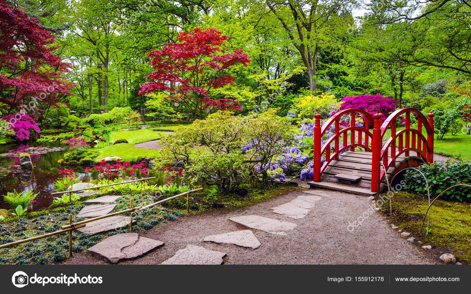 Traditional Japanese Garden in The Hague. Stock Photo by ©innervision 155912178