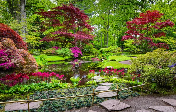Tradiční japonská zahrada v Haagu. — Stock fotografie