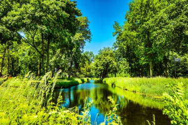 Çiçek açan Avrupa Bahçe ve Park öğeleri yakın çekim, Hollanda.