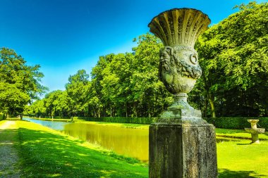 Çiçek açan Avrupa Bahçe ve Park öğeleri yakın çekim, Hollanda.