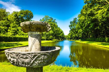 Çiçek açan Avrupa Bahçe ve Park öğeleri yakın çekim, Hollanda.