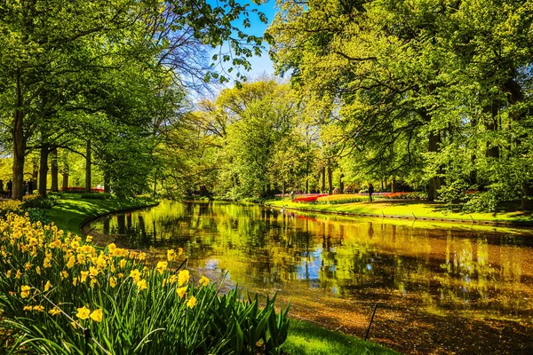 Kvetoucí zahrada Evropy, parku Keukenhof. Nizozemsko. — Stock fotografie