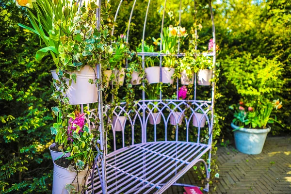 Blommande trädgård i Europa, Keukenhof parken. Nederländerna. — Stockfoto