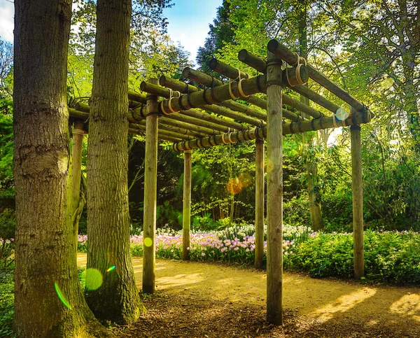 Квітучий сад Європейського & парк елементи Закри, Нідерланди. — стокове фото