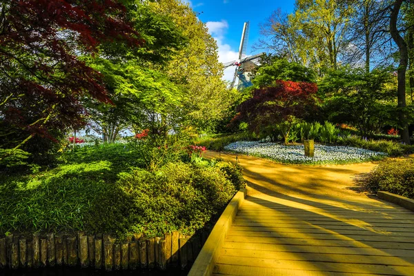 Квітучий сад з Європи, парк Кекенхоф. Нідерланди. — стокове фото