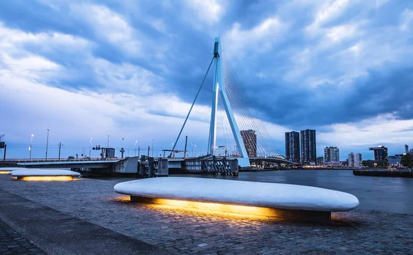 Vue générale du paysage urbain de Rotterdam et du pont Erasmus, l'un des symboles les plus célèbres de la ville . — Photo