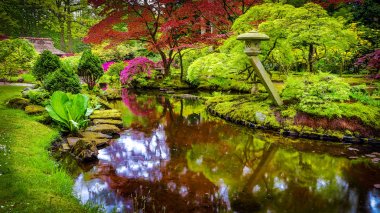 geleneksel Japon bahçesi.