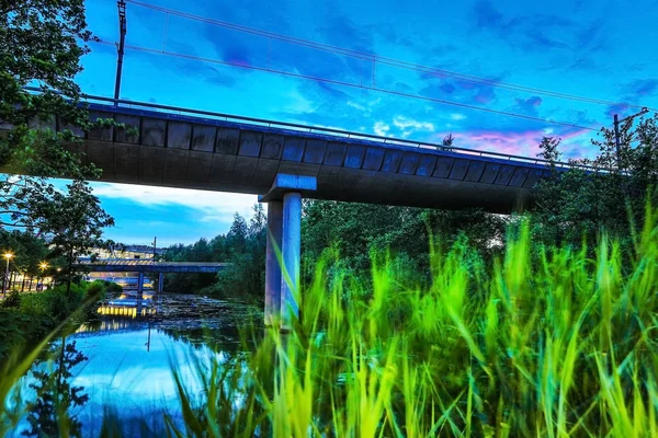 Étang avec réflexion et plantes fluviales la nuit . — Photo