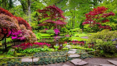 geleneksel Japon bahçesi.