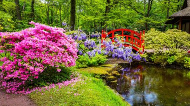 geleneksel Japon bahçesi.