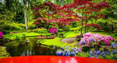 geleneksel Japon bahçesi.