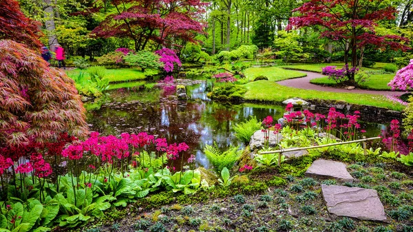 Geleneksel Japon bahçesi. — Stok fotoğraf