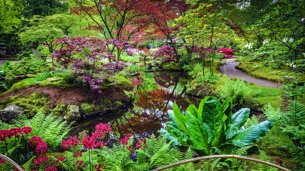 Geleneksel Japon bahçesi. — Stok fotoğraf