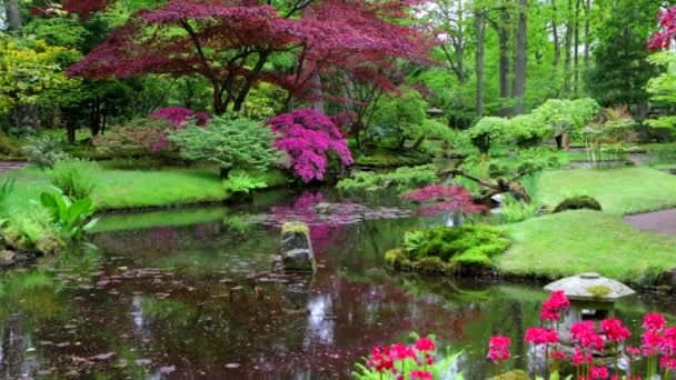 Παραδοσιακός Ιαπωνικός Κήπος Στη Χάγη Πλάνα Λήξη Χρόνου — Αρχείο Βίντεο