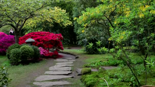 Giardino Giapponese Tradizionale Dell Aia Time Lapse Filmato — Video Stock