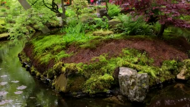 Traditionele Japanse Tuin Den Haag Time Lapse Beelden — Stockvideo