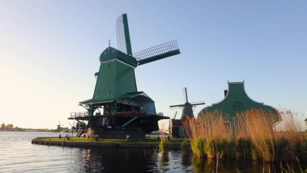 Общий Вид Традиционных Голландских Ветряных Мельниц Нидерланды Кадры — стоковое видео