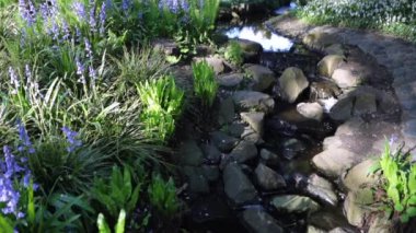 Çiçeklenme yaz Avrupa Bahçe park, Hollanda. HD ayak.