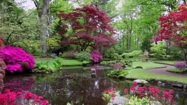 Blooming Summer European Garden Park Pays Bas Vidéo — Video