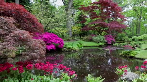 Floreciente Parque Jardín Europeo Verano Los Países Bajos Imágenes — Vídeo de stock