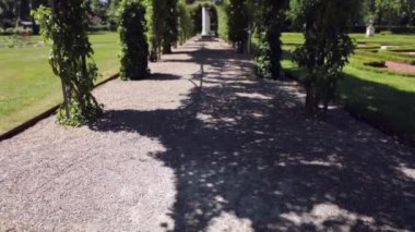 Ağır çekim görüntüleri çiçeklenme Avrupa Bahçe ve park öğeleri yakın çekim, Hollanda.