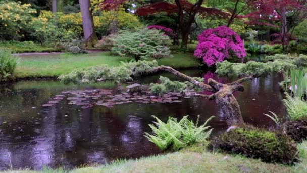 Slow Motion Beelden Van Bloeiende Europese Tuin Park Elementen Close — Stockvideo
