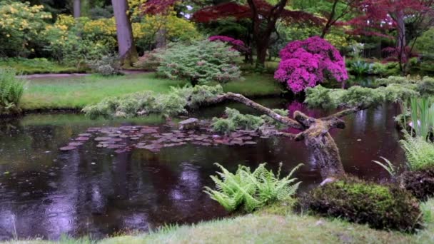 Slow Motion Film Blommande Europeiska Trädgård Park Element Närbild Nederländerna — Stockvideo