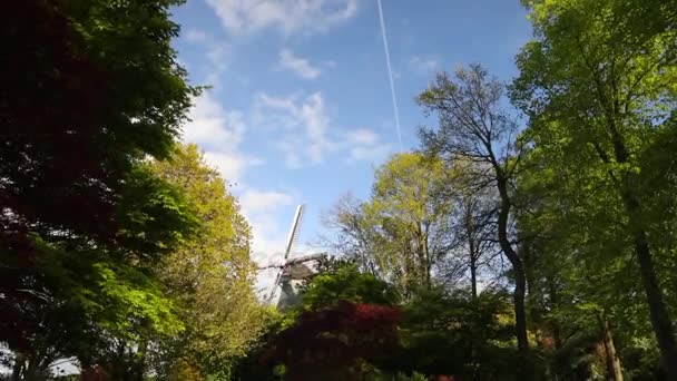 Общий Вид Традиционных Голландских Ветряных Мельниц Нидерланды Кадры — стоковое видео