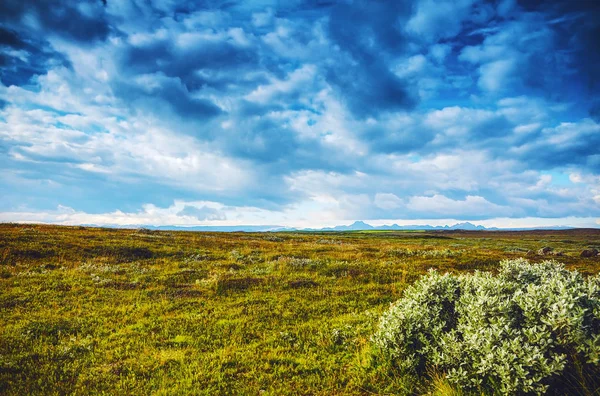 Schilderachtige ochtend baai met de traditionele aard van IJsland. — Stockfoto