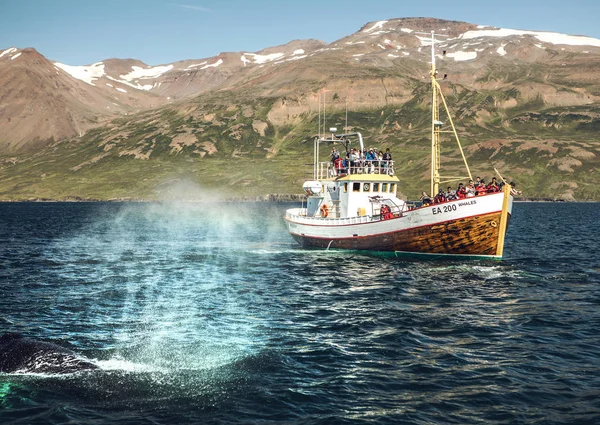 Bateau de pêche islandais pour l'observation des baleines . — Photo