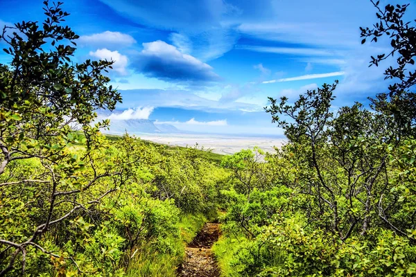 Prachtige schilderachtige landschap van de IJslandse natuur. — Stockfoto